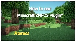 How to use ZNPCS Minecraft plugin? Znpcs Setup. 