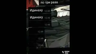 29 июня 2024 г.