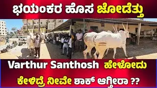 VARTHUR SANTHOSH: Hallihar Oydeya New Bulls,  ಹೋರಿ ಅಂದ್ರೆ ಹೇಗಿರಬೇಕು ?? ಅದರ ಮಹತ್ವಗಳೇನು???