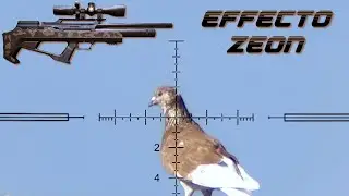 Effecto Zeon vs. the Pooping Winged Menace