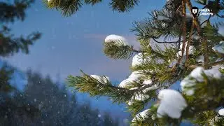 Наша Сибирь 4К: Зима в горах