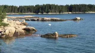 Road Trip to The Maine Coast