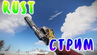 Играю в рис и болтаю с другом! Ночной стрим