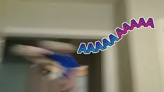 A Day in the Life of Sonic