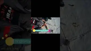 Щука прокусила палец. Удачная рыбалка #Shorts