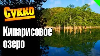 Сукко. Анапа. Кипарисовое озеро. #кипарисовое_озеро