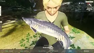 UFS2 - 70+kg Beluga Sturgeon in Russia