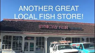 Visit to an Amazing Aquarium Store in So Cal!