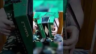 Проверка звучания Гармонь чайка 2 теза после настройки 3 аккорда 300 песен