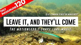 ULTIMATE NATURAL SWIMMING【Tiny masamune120】PV