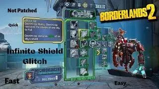 Borderlands 2: Gaige Infinite Shield Glitch 2019