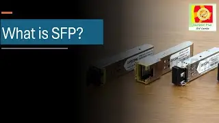 What is SFP?