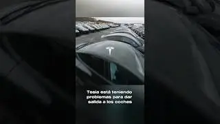 EXCESO DE STOCK DE TESLA EN BERLÍN 🤯