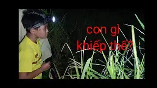 Mien ton Sinh tồn.|The cleanest animal without a grain of weight gain