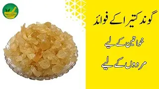 Gond katira benefits in Urdu for Women and men | مرد  و خواتین کے لیے گوند کتیرا کے فوائد