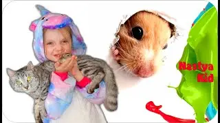 Настя и Хомяк! Запустили хомяка в лабиринт. Челлендж для смешного хомяка