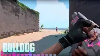 All spectrum skins showcase with finishers | Valorant