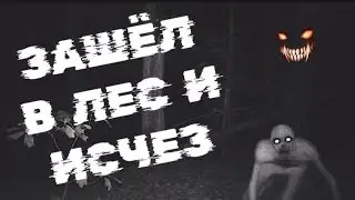 Зашёл в лес и исчез... Рассказ на ночь. Страшные истории на ночь.