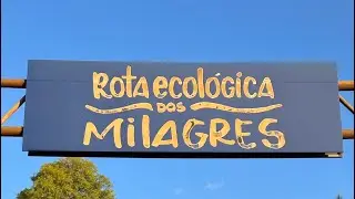 PEIXADA ALABAIANA EM SÃO MIGUEL DOS MILAGRES, CONHECENDO O FAMOSO TATU!