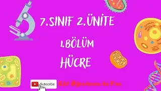 7.SINIF 2.ÜNİTE 1.BÖLÜM HÜCRE VE ORGANELLER