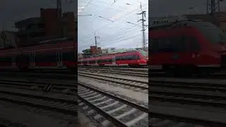 Nbg-HBF
