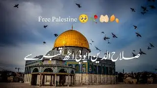 Salahuddin Ayyubi Uth Qabar Se🥺🥀 Whatsapp Status Free Palestine Saqib Raza Mustafai Emotional Status