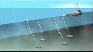 West Coast Fishing - Trap