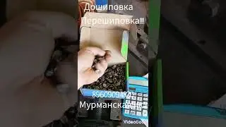 Дошиповка, перешиповка!!!!  мурманская 54к5 89609094820