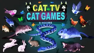 CAT GAMES FOR CATS | ULTIMATE ENTERTAINMENT MOUSE HIDE SEEK JERRY HOLE FUN FOR FURRY FRIENDS! 🐾