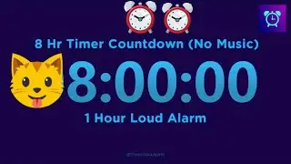 8 Hour Timer Countdown (No Music) + 1 Hour Loud Alarm
