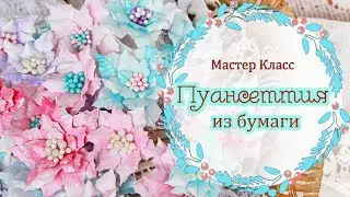 мк ПУАНСЕТТИЯ из бумаги. Цветы для скрапбукинга. Tutorial paper flowers/ poinsettia / 紙の花