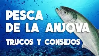 VIDEOS DE PESCA: TRUCOS DE PESCA ANJOVAS A SPINNING - SERRATA WATER WOLF - CHOVA