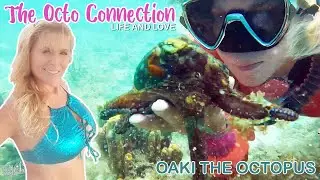 The Octo Connection: Life and Love. Oaki The Octopus and the Sunny Sailor -Amazing Story of love