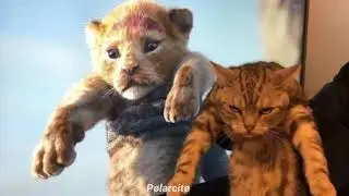 El no es del clan - El Rey león // letra.