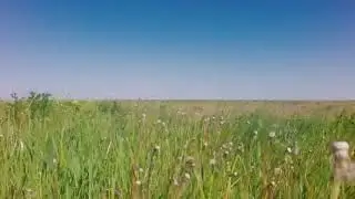zemaktiv com ua