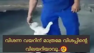 വിശന്ന വയറിന് മാത്രമേ വിശപ്പിന്റെ വിലയറിയാവൂ..😥 Cat