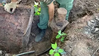 11 августа 2024 г.￼ ￼ Радиатор с прошлого года ￼. Старые места ещё радует металлом .￼