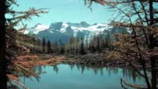 Daniel Hogan - Clarinet Concerto No.1 - Allegretto