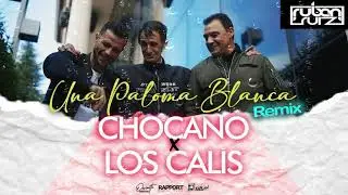 Los Calis & Chocano   Una Paloma Blanca Ruben Ruiz Dj Rumbaton 2021