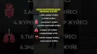 Әрбір жан білуі керек ағзамыздағы 8 жүйе 🔥 #biology #automobile #rek #anatomy #science