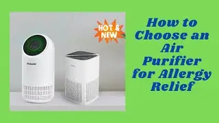 How to choose an air purifier for allergy relief