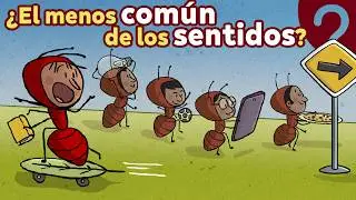¿Qué tan común es el sentido común?