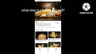 connecting rats to cheese escape