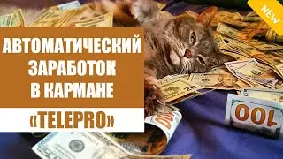 Заработок с вложением 100 рублей