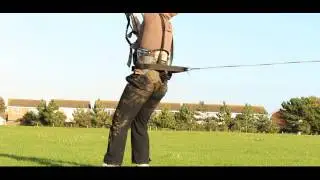 pansh ace 9m kite
