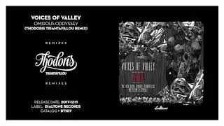 Voices of valley - Omirous Odyssey (Thodoris Triantafillou Remix) [Dialtone Records107]