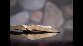 Sunday Service - To Whom Do We Obey - Romans 13:1-7