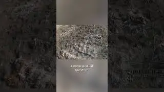 Как беспилотники сражаются прямо в небе?