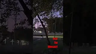 Hear the Dinosaur!
