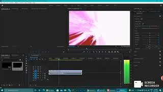 How to import LUTS in Adobe Premiere Pro